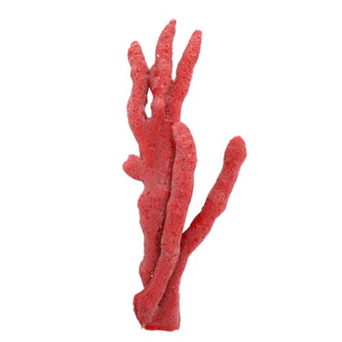 /images/405.jpg