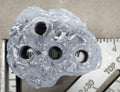 BlueLine 4-Hole Frag Rock
