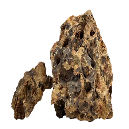 WIO Stone - Dragon