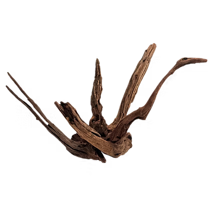 WIO Wood - Longhorn