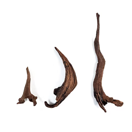 WIO Wood - Longhorn