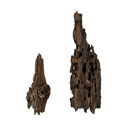 WIO Wood - Dragonscale