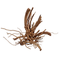 WIO Wood - Blondspider