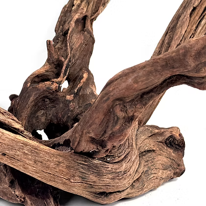 WIO Wood - Longhorn