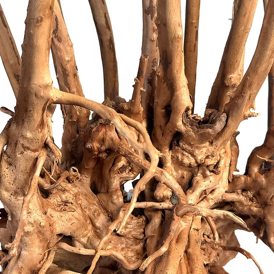 WIO Wood-Isengard