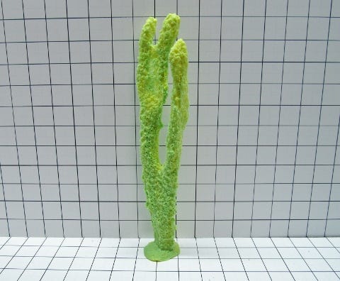 /images/610.jpg