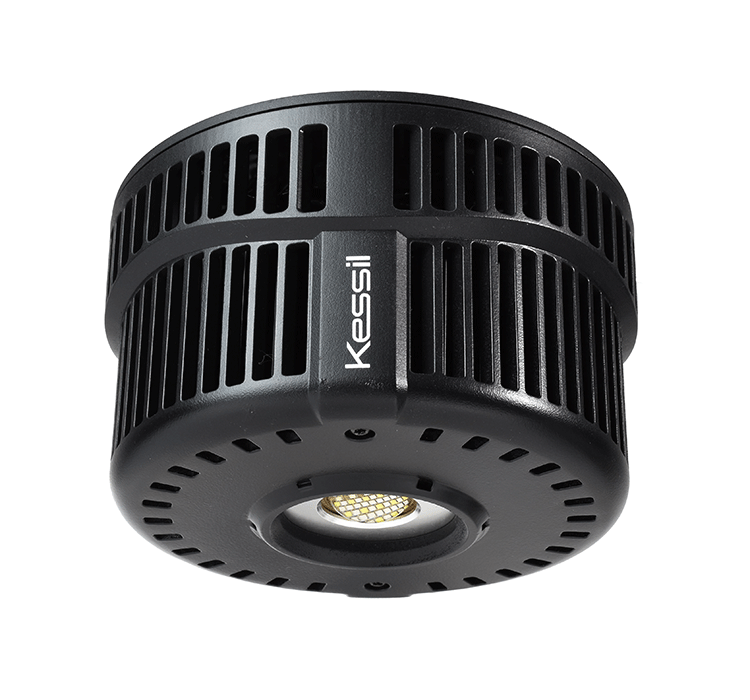Kessil A500X Tuna Blue