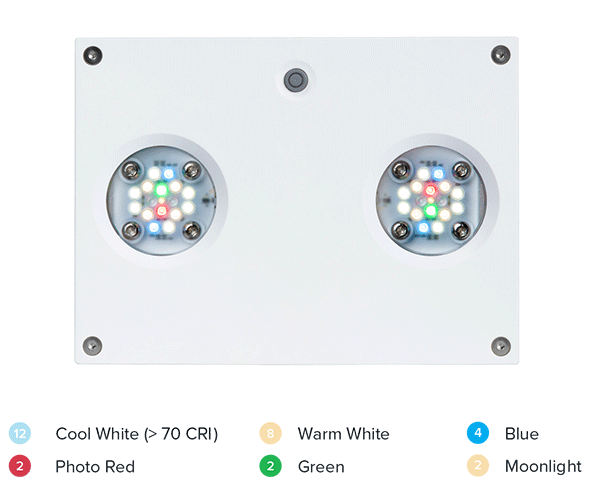 AquaIllumination Hydra 32HD Freshwater LED Module - White