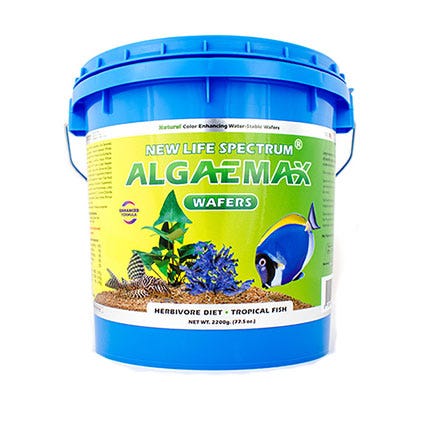 /images/AlgaeMaxWafersBucket.jpg