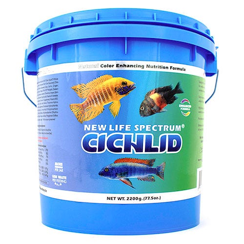 /images/Cichlid2200.jpg