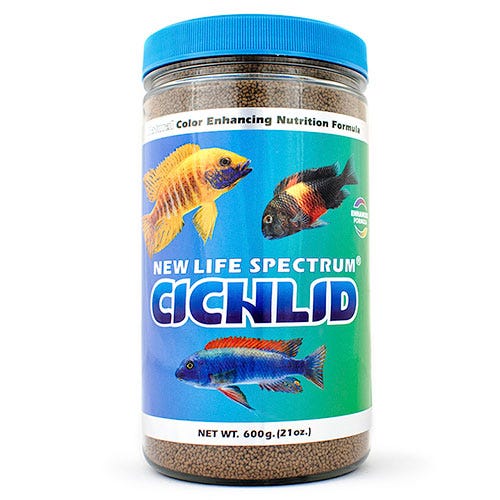 /images/Cichlid600.jpg