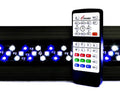 Finnex 20" Marine 24/7CC V2 LED Fixture 16.8 watt