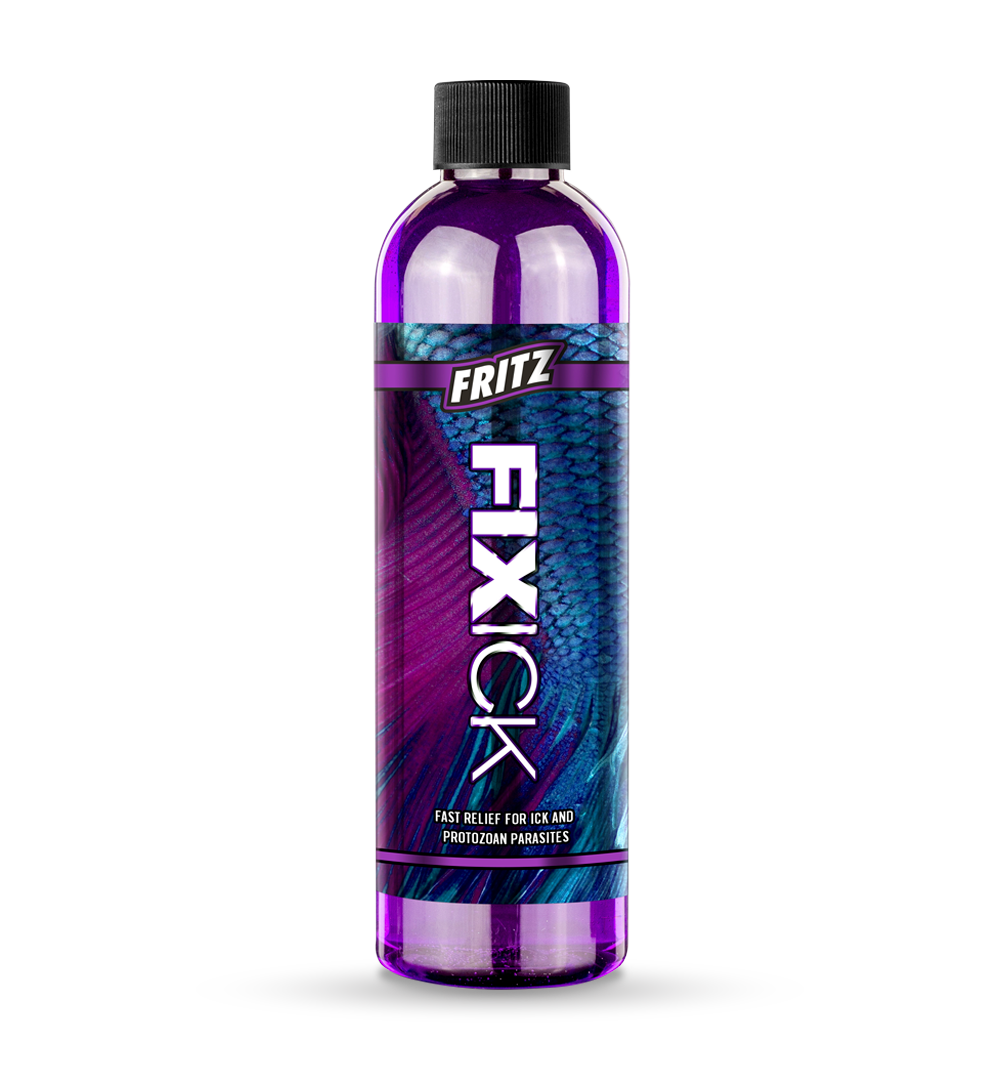 /images/Fritz_FIXICK.png