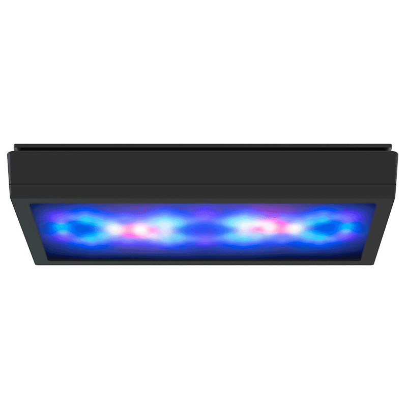 Ecotech Marine Radion XR15 G5 / G6 Diffuser