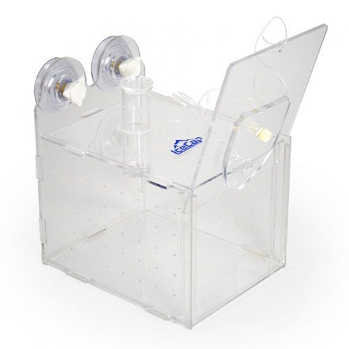 /images/IceCapTrap.jpg