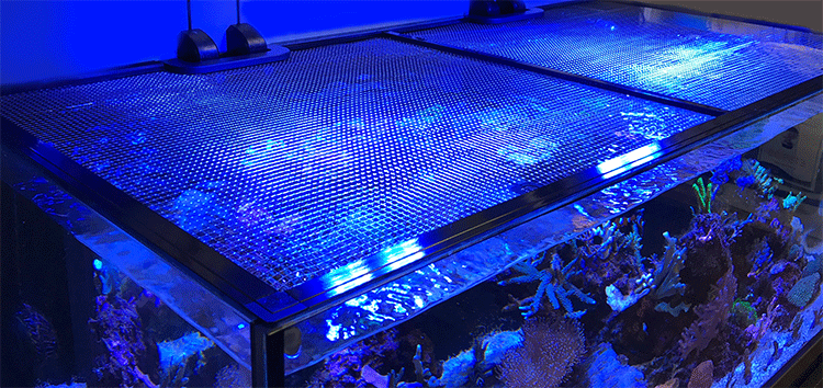 D-D Jumpguard Pro DIY Aquarium Cover - 75cm x 75cm (30" x 30") - Black Mesh