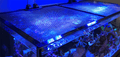 D-D Jumpguard Pro DIY Aquarium Cover - 75cm x 75cm (30" x 30") - Black Mesh