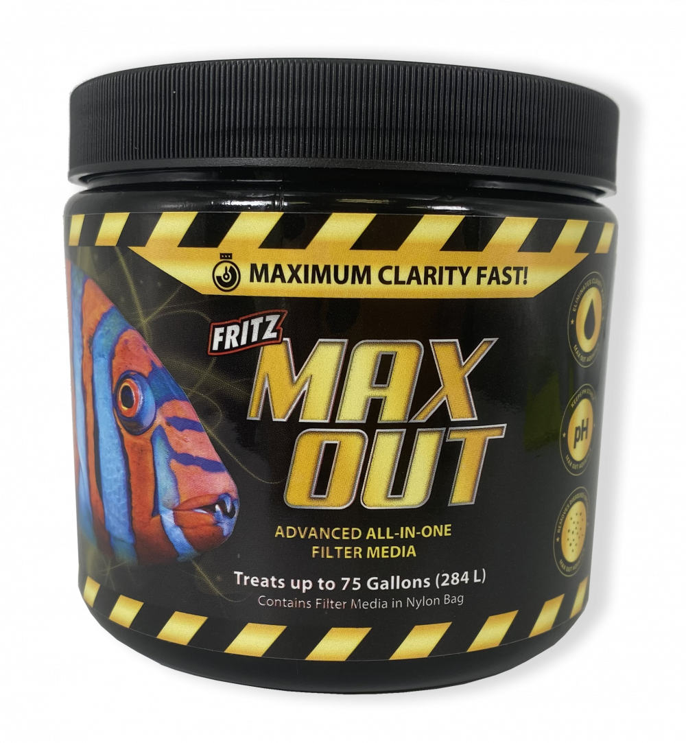 /images/MAXOUT_1000_1083_s.png