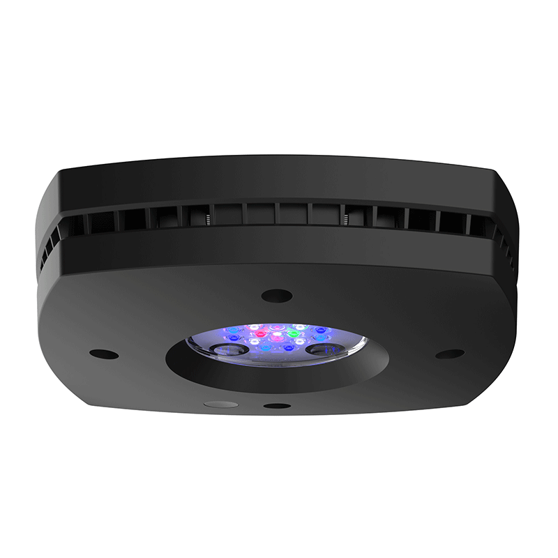 AquaIllumination Prime 16HD Reef LED Module - Black
