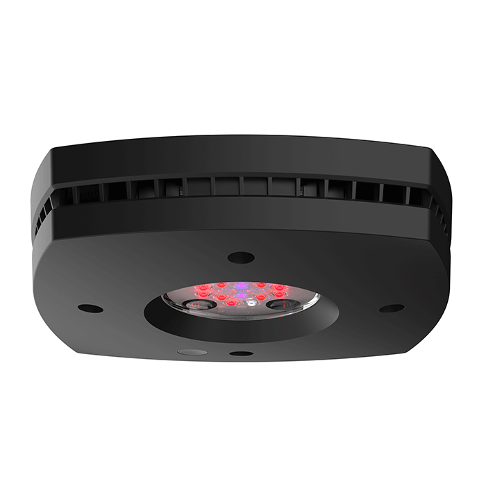 AquaIllumination Prime Fuge LED Module - Black