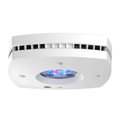 AquaIllumination Prime 16HD Reef LED Module - White