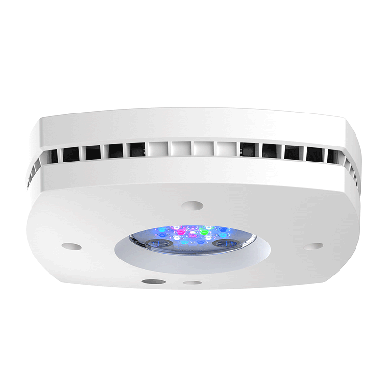 AquaIllumination Prime 16HD Reef LED Module - White