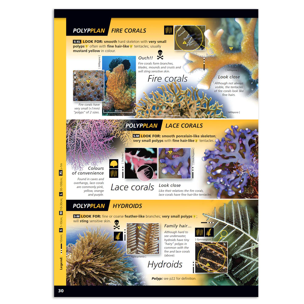 Reef Finder