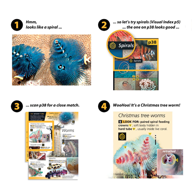 Reef Finder