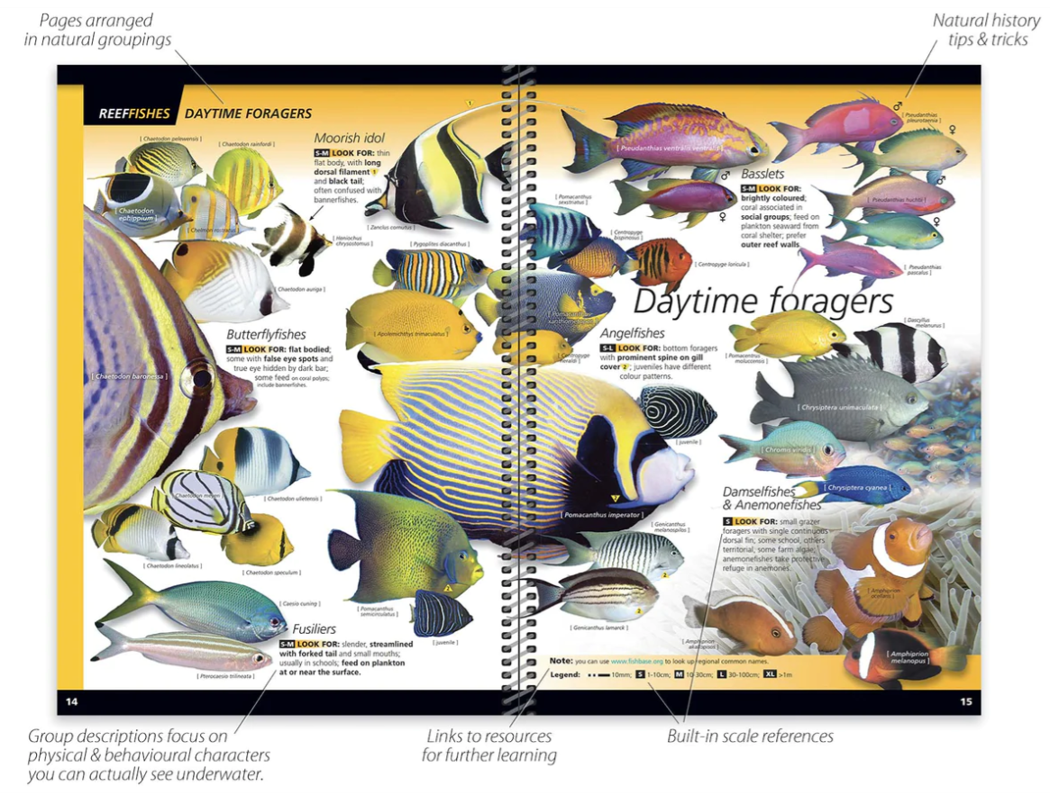 Reef Finder