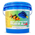 /images/TheraA-Reg-2200_1.jpg