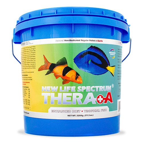 /images/TheraA-Reg-2200_1.jpg