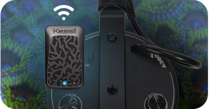 Kessil WiFi Dongle