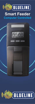 Blueline Smart Feeder