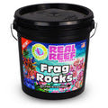 Real Reef Frag Rock Bucket - 100 pcs