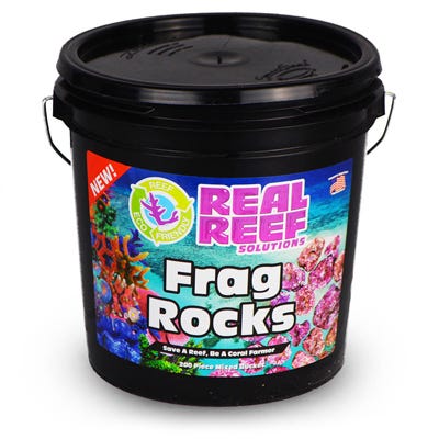 Real Reef Frag Rock Bucket - 100 pcs