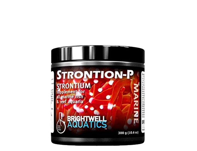 /images/brightwell-aquatics-strontion-p-dry-strontium-supplement-1-2-kg-2-6-lb-by-brightwell-aquatics_4.png