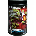 /images/brightwell_carbionp_6.png