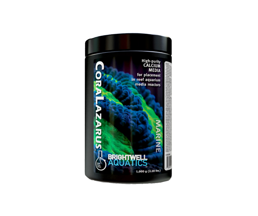 /images/brightwell_coralazarus_3.png