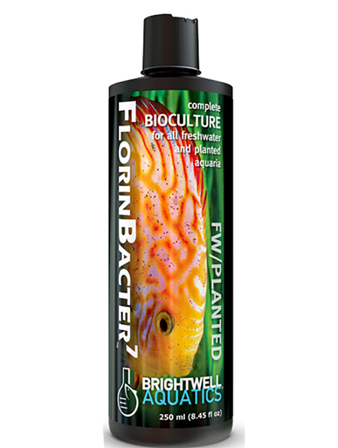 /images/brightwell_florinbacter7.png