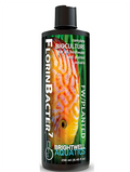 /images/brightwell_florinbacter7_2.png