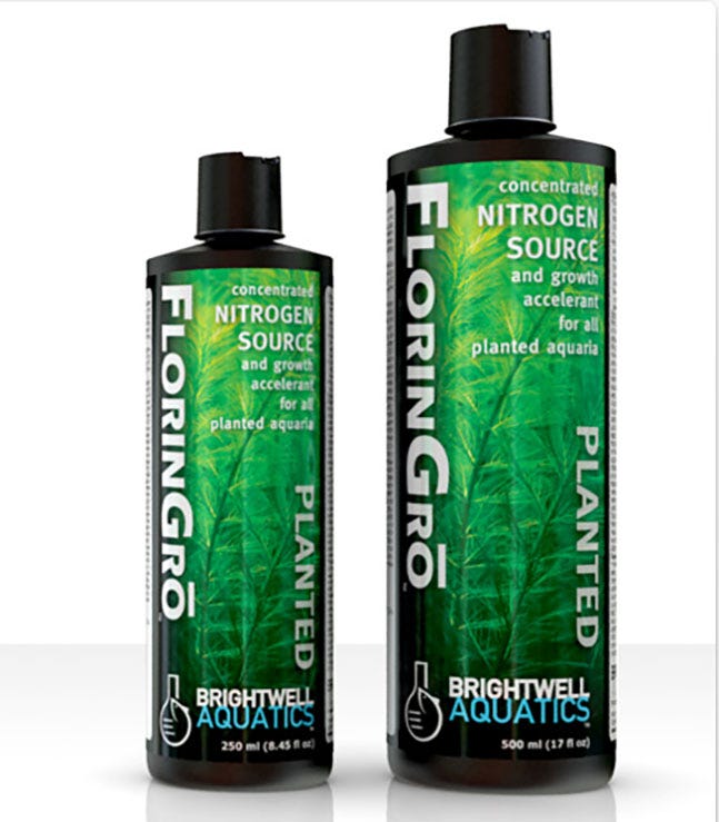 /images/brightwell_floringro_3.jpg