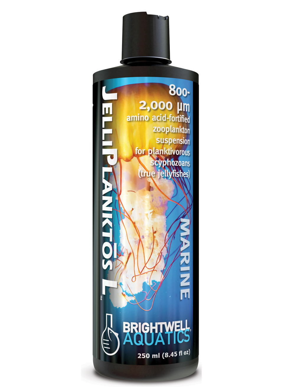 /images/brightwell_jelliplanktos_1_1.png