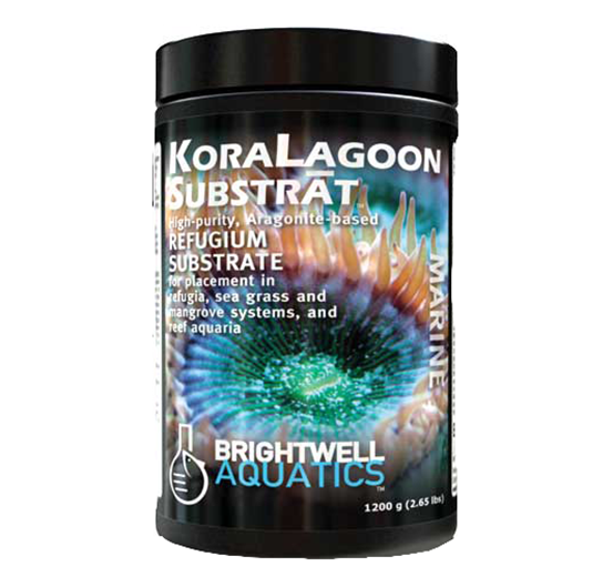 /images/brightwell_koralagoon_3.png