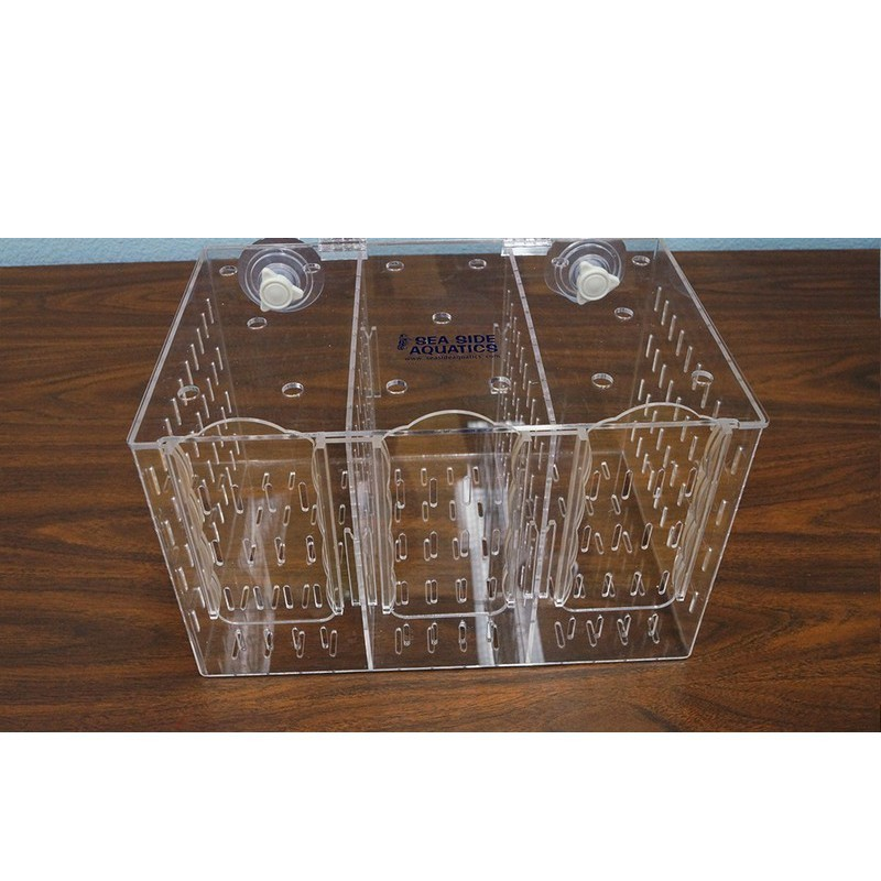 Bubble Magus RF300 Acclimation Box