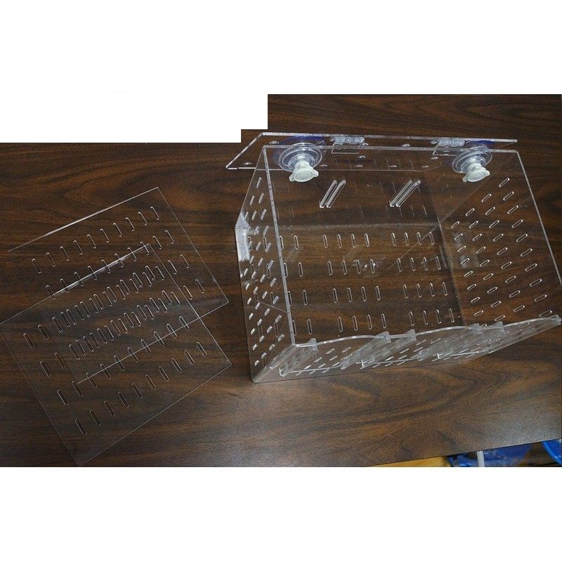 Bubble Magus RF300 Acclimation Box
