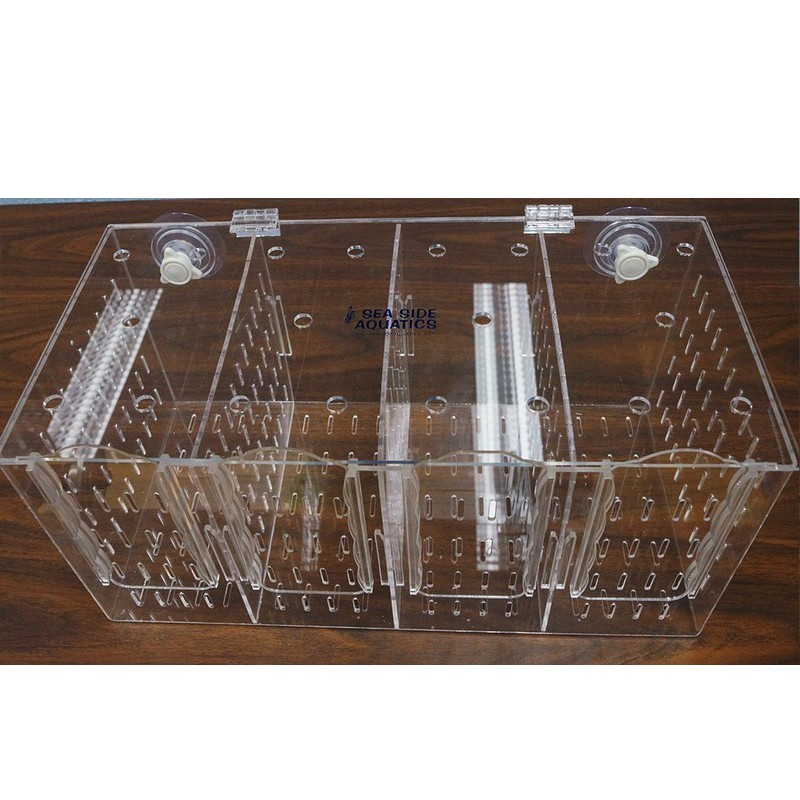 Bubble Magus RF400 Acclimation Box