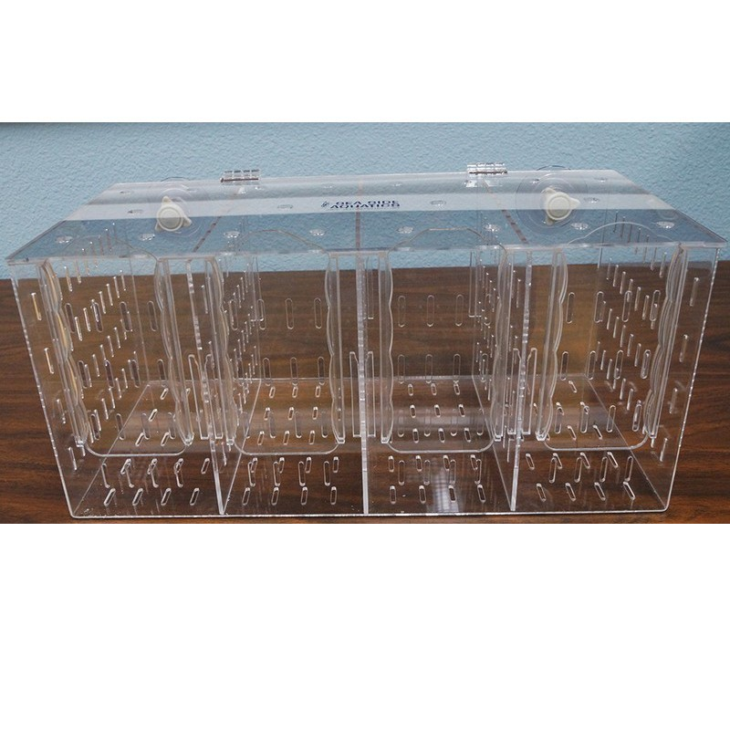 Bubble Magus RF400 Acclimation Box