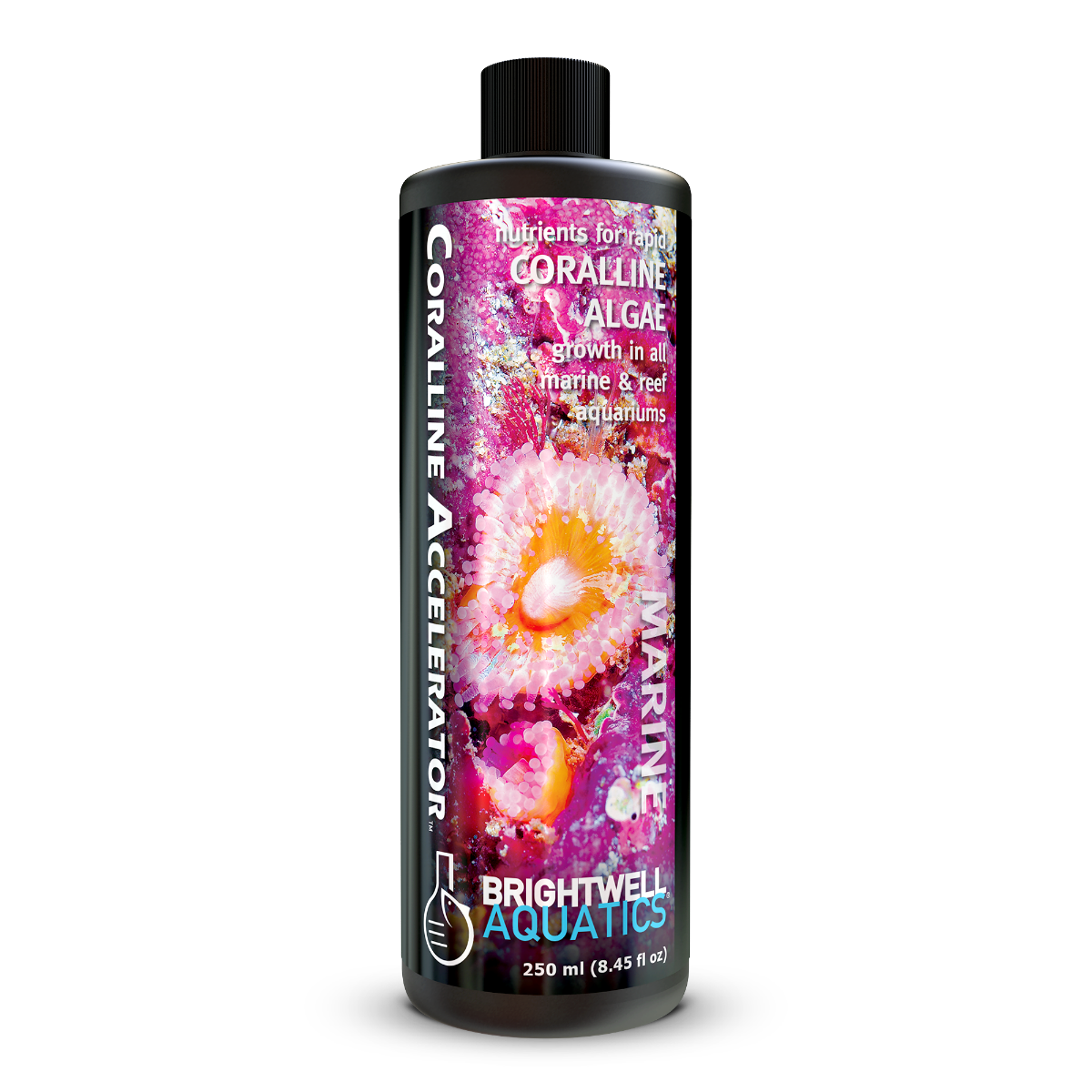 Brightwell Coralline Accelerator- Nutrients for Coralline Algae Growth 250 ml 