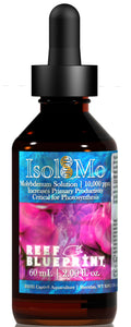 Captiv8 Reef Blueprint Isol8:Mo 60mL - Molybdenum
