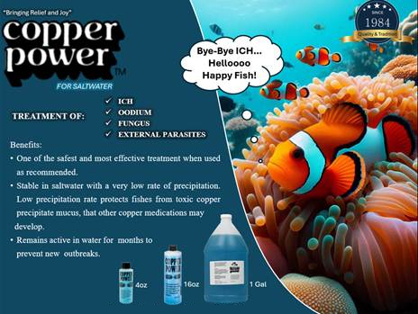 Copper Power Blue for Saltwater 1 Gallon